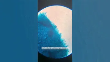 Going under the microscope with Bioscience Technology